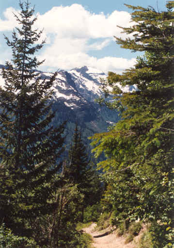 looptr.tif (550980 bytes)